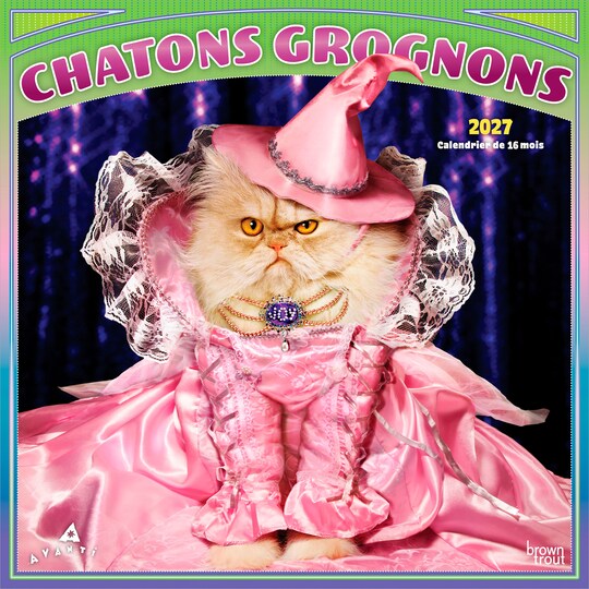 BrownTrout Canada; Avanti Chatons Grognons OFFICIEL | 2027 12 x 24 Inch (Hanging) Monthly Square Wall Calendar | French Language; Category:Wall Calendars; Image:1